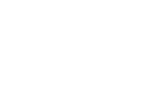 Cybergear logo